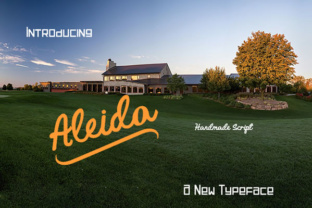 Aleida Typeface: Elevate Your Brand Visuals