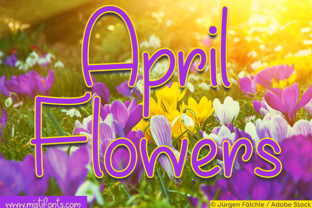 April Flowers: A Handwritten Font for Makers