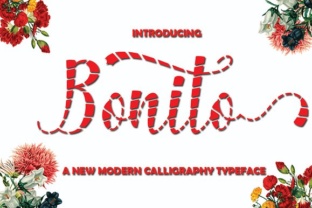 Bonito Font: A Playful Typeface for Small Business Branding