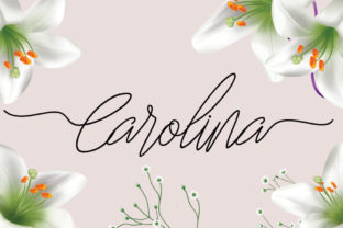 Carolina Font: A Designer’s Take on Modern Script