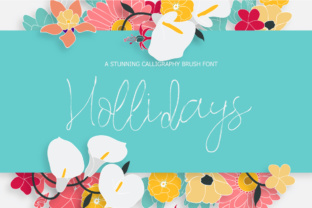 Hollidays Font: Elevate Your Campaign Visuals