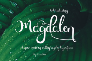 Magdalen: A Modern Script Font for Web Design