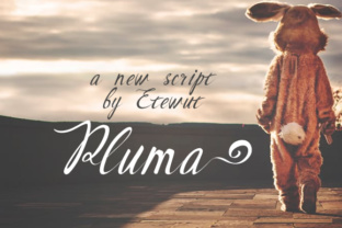 Pluma Typeface for Editorial Design