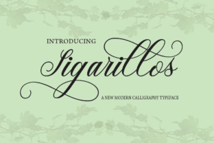 Sigarillos Font Review: Elegant Script for Branding