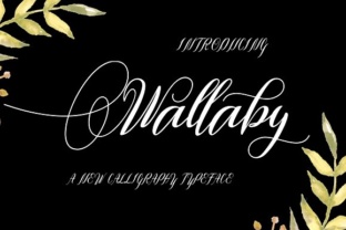 Wallaby Font: Elevating Web Design with Modern Calligraphy
